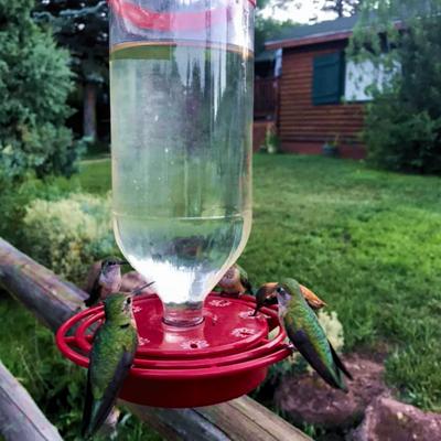 River sounds in the Colorado Mountains at Cucharas River Bed and Breakfast